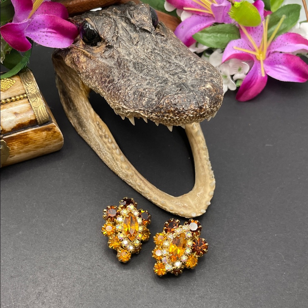 Robėrt rhinestone earrings vintage